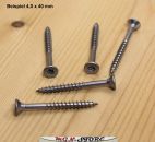 100 Stück V2A Spanplattenschrauben 6,0 x 120 mm TG  TX 25