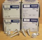50 Stück Reisser Pfostenschrauben 10 x 50 mm RUSPERT® silber
